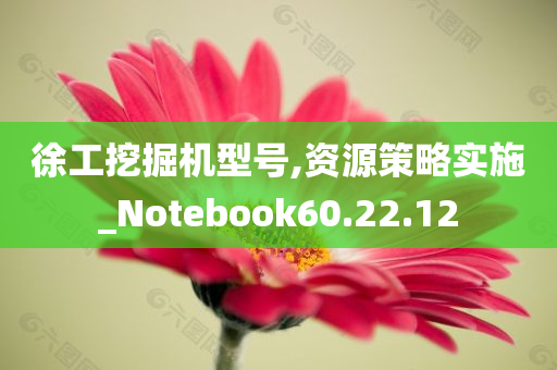 徐工挖掘机型号,资源策略实施_Notebook60.22.12