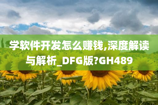 学软件开发怎么赚钱,深度解读与解析_DFG版?GH489