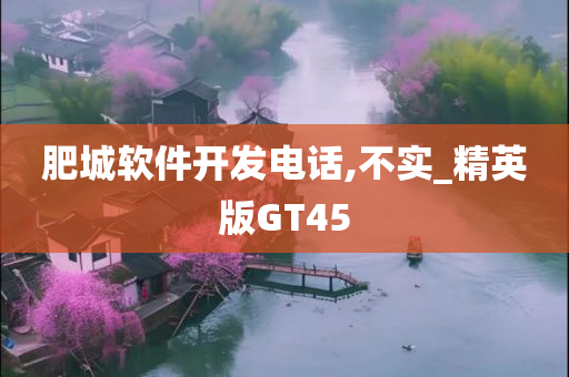 肥城软件开发电话,不实_精英版GT45