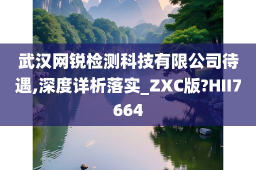 武汉网锐检测科技有限公司待遇,深度详析落实_ZXC版?HII7664