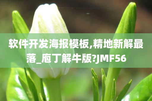 软件开发海报模板,精地新解最落_庖丁解牛版?JMF56