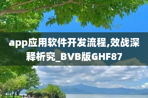 app应用软件开发流程,效战深释析究_BVB版GHF87