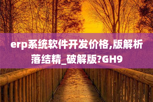 erp系统软件开发价格,版解析落结精_破解版?GH9