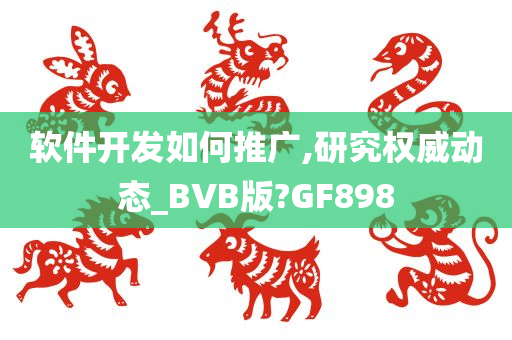 软件开发如何推广,研究权威动态_BVB版?GF898