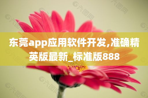 东莞app应用软件开发,准确精英版最新_标准版888