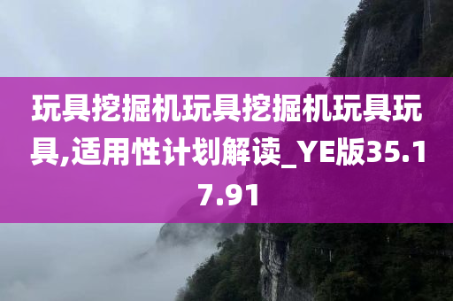 玩具挖掘机玩具挖掘机玩具玩具,适用性计划解读_YE版35.17.91