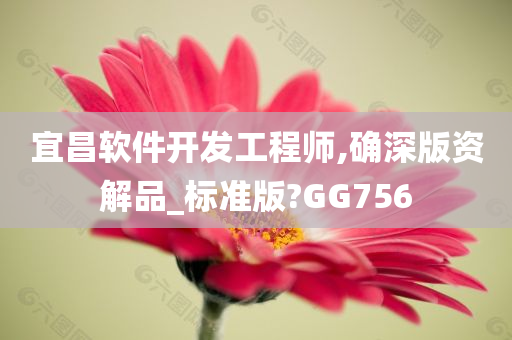 宜昌软件开发工程师,确深版资解品_标准版?GG756