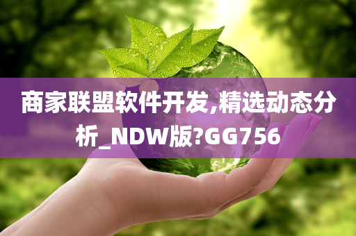 商家联盟软件开发,精选动态分析_NDW版?GG756