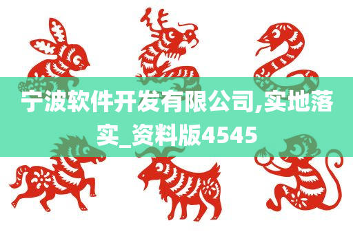 宁波软件开发有限公司,实地落实_资料版4545