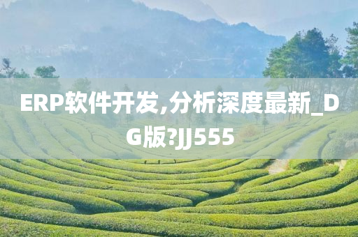 ERP软件开发,分析深度最新_DG版?JJ555