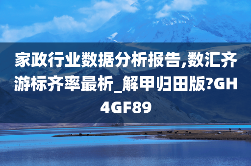 家政行业数据分析报告,数汇齐游标齐率最析_解甲归田版?GH4GF89