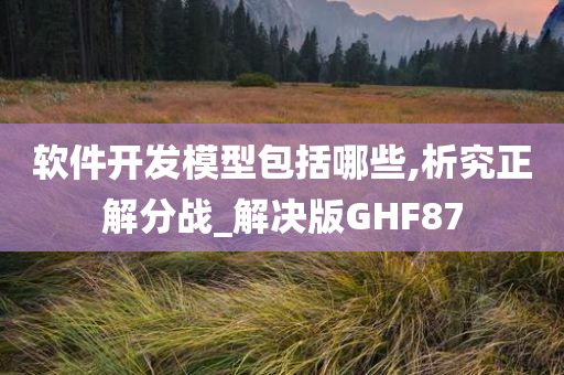 软件开发模型包括哪些,析究正解分战_解决版GHF87