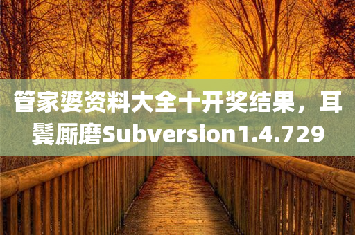 管家婆资料大全十开奖结果，耳鬓厮磨Subversion1.4.729