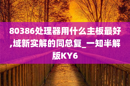 80386处理器用什么主板最好,域新实解的同总复_一知半解版KY6