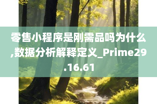 零售小程序是刚需品吗为什么,数据分析解释定义_Prime29.16.61