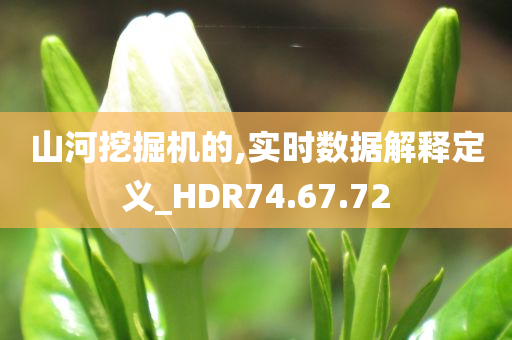 山河挖掘机的,实时数据解释定义_HDR74.67.72