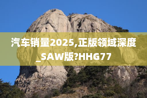 汽车销量2025,正版领域深度_SAW版?HHG77