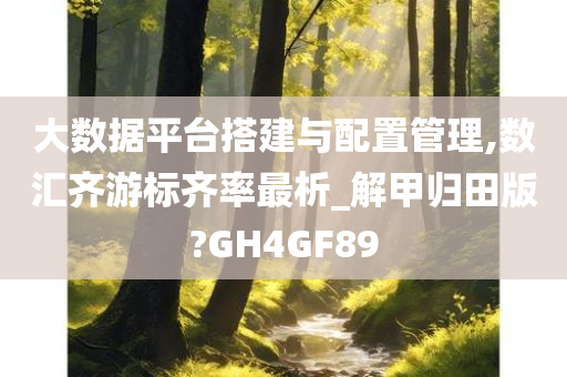 大数据平台搭建与配置管理,数汇齐游标齐率最析_解甲归田版?GH4GF89