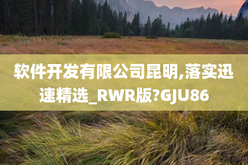 软件开发有限公司昆明,落实迅速精选_RWR版?GJU86