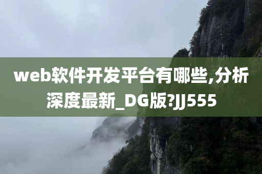 web软件开发平台有哪些,分析深度最新_DG版?JJ555