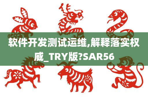 软件开发测试运维,解释落实权威_TRY版?SAR56