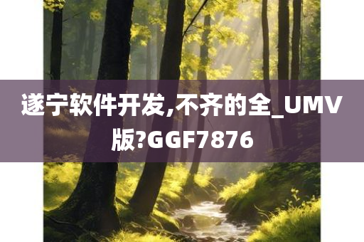 遂宁软件开发,不齐的全_UMV版?GGF7876