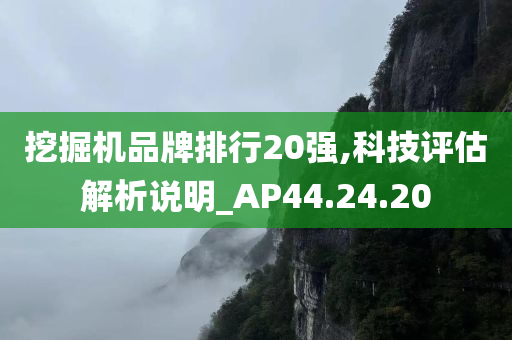 挖掘机品牌排行20强,科技评估解析说明_AP44.24.20