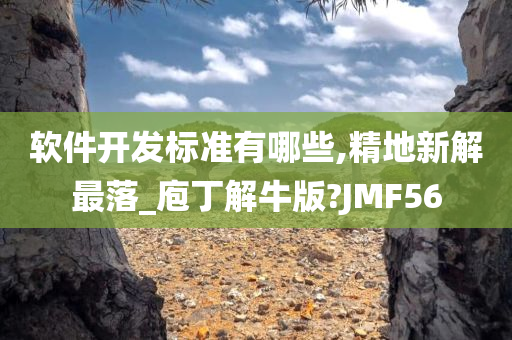 软件开发标准有哪些,精地新解最落_庖丁解牛版?JMF56