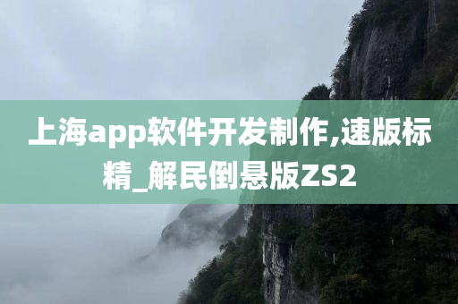 上海app软件开发制作,速版标精_解民倒悬版ZS2