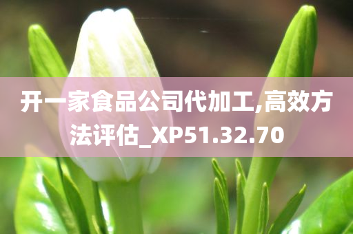 开一家食品公司代加工,高效方法评估_XP51.32.70