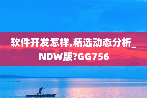 软件开发怎样,精选动态分析_NDW版?GG756