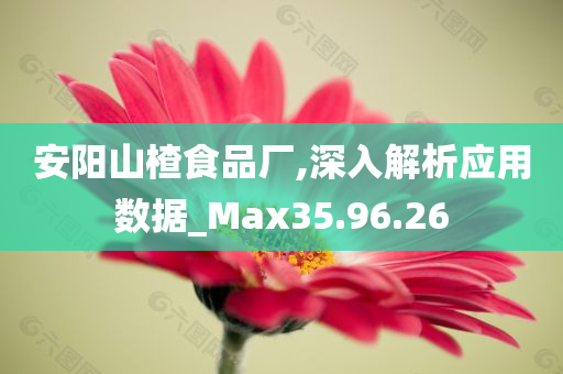 安阳山楂食品厂,深入解析应用数据_Max35.96.26