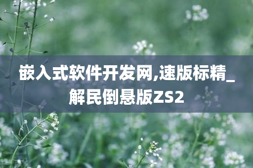 嵌入式软件开发网,速版标精_解民倒悬版ZS2