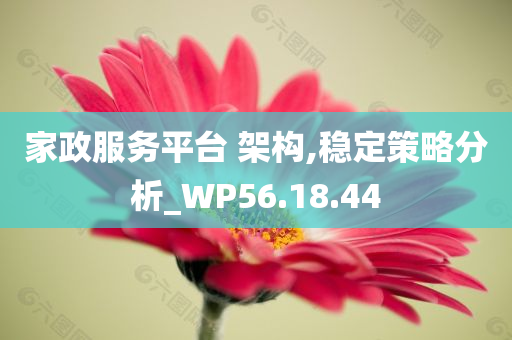 家政服务平台 架构,稳定策略分析_WP56.18.44