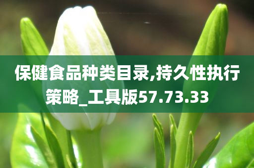 保健食品种类目录,持久性执行策略_工具版57.73.33