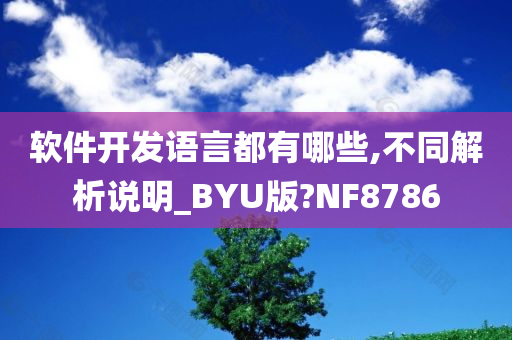 软件开发语言都有哪些,不同解析说明_BYU版?NF8786