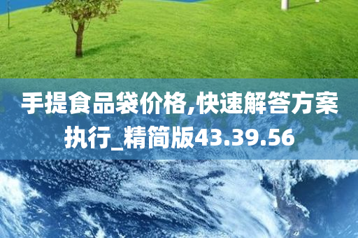 手提食品袋价格,快速解答方案执行_精简版43.39.56