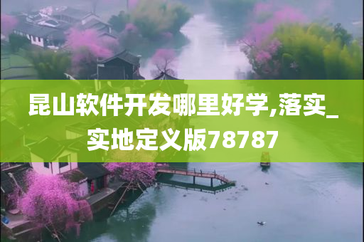 昆山软件开发哪里好学,落实_实地定义版78787