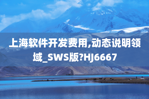 上海软件开发费用,动态说明领域_SWS版?HJ6667