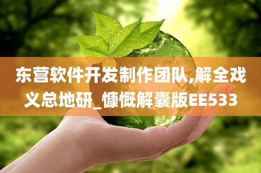 东营软件开发制作团队,解全戏义总地研_慷慨解囊版EE533