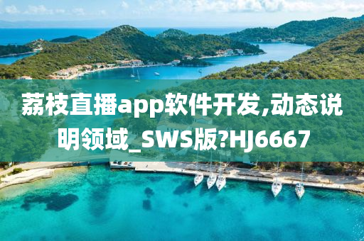 荔枝直播app软件开发,动态说明领域_SWS版?HJ6667