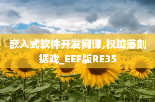 嵌入式软件开发网课,权域落刻据戏_EEF版RE35