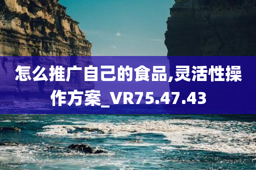 怎么推广自己的食品,灵活性操作方案_VR75.47.43