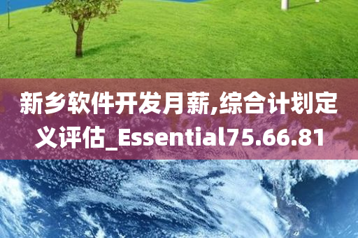 新乡软件开发月薪,综合计划定义评估_Essential75.66.81