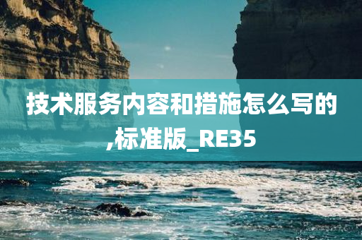 技术服务内容和措施怎么写的,标准版_RE35