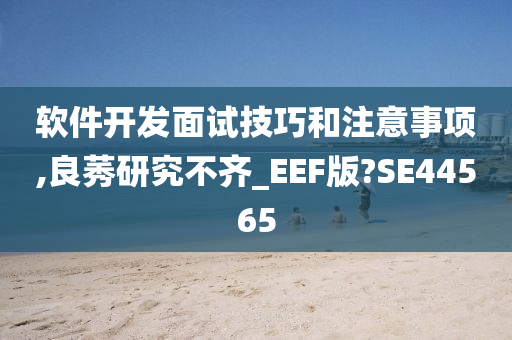 软件开发面试技巧和注意事项,良莠研究不齐_EEF版?SE44565