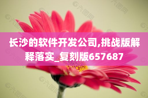 长沙的软件开发公司,挑战版解释落实_复刻版657687