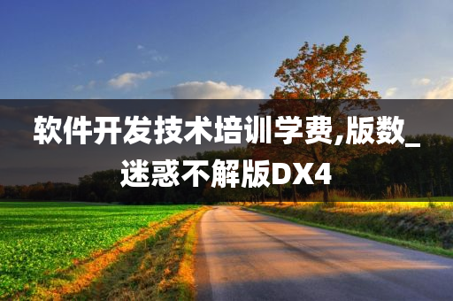 软件开发技术培训学费,版数_迷惑不解版DX4