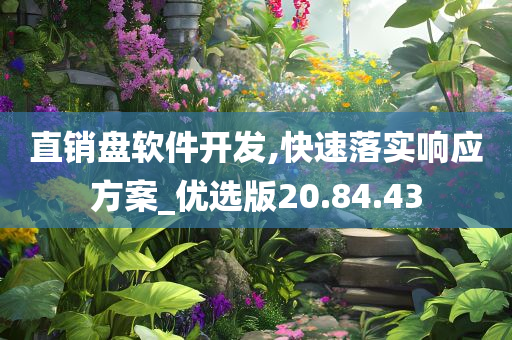 直销盘软件开发,快速落实响应方案_优选版20.84.43