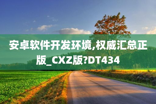 安卓软件开发环境,权威汇总正版_CXZ版?DT434